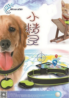 宠物定位器 科技守护下的自由与安全